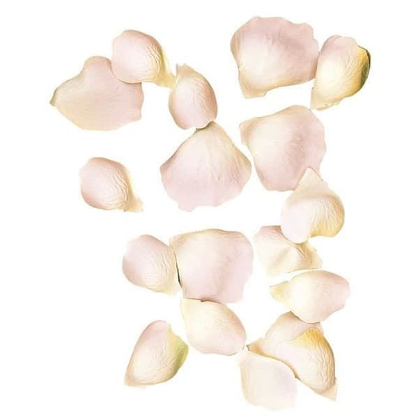 Blomblad - RAYHER - Rosa - 3 och 4,5 cm - 41 stycken - Inredning