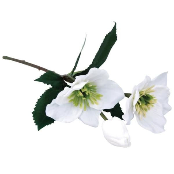 Konstgjord blomma - RAYHER - Julros - Vit - 34 cm - Tyg och plast