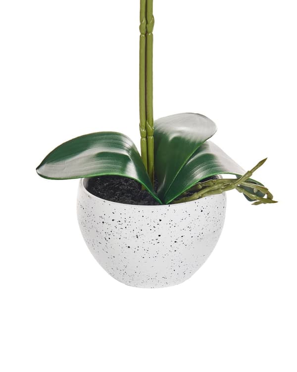 Kunstig Potteplante Hvit Grønn Syntetisk Materiale 42 cm Orkideplante Dekorativt Innendørstilbehør
