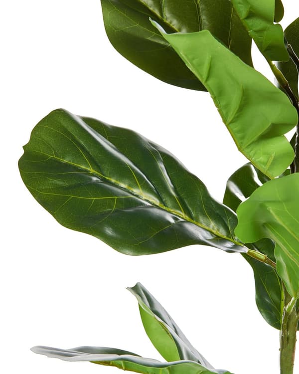 Kunstig Potteplante Grønt Syntetisk Materiale 72 cm Fiddle Leaf Tree Plant Dekorativt Innendørs Tilbehør