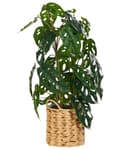 Miniatyrbilde 4 av 6: Kunstig Potteplante Grønt og Svart Syntetisk Materiale 53 cm Monstera Plante Dekorativt Innendørs Tilbehør