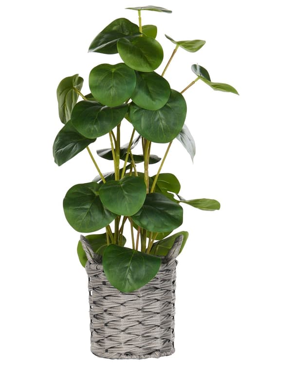 Kunstig Potteplante i Grønt og Svart Syntetisk Materiale 55 cm Pilea Pannekakeplante Dekorativt Innendørs Tilbehør