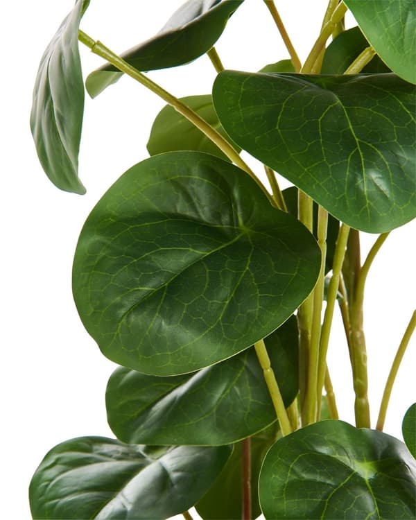Kunstig Potteplante i Grønt og Svart Syntetisk Materiale 55 cm Pilea Pannekakeplante Dekorativt Innendørs Tilbehør