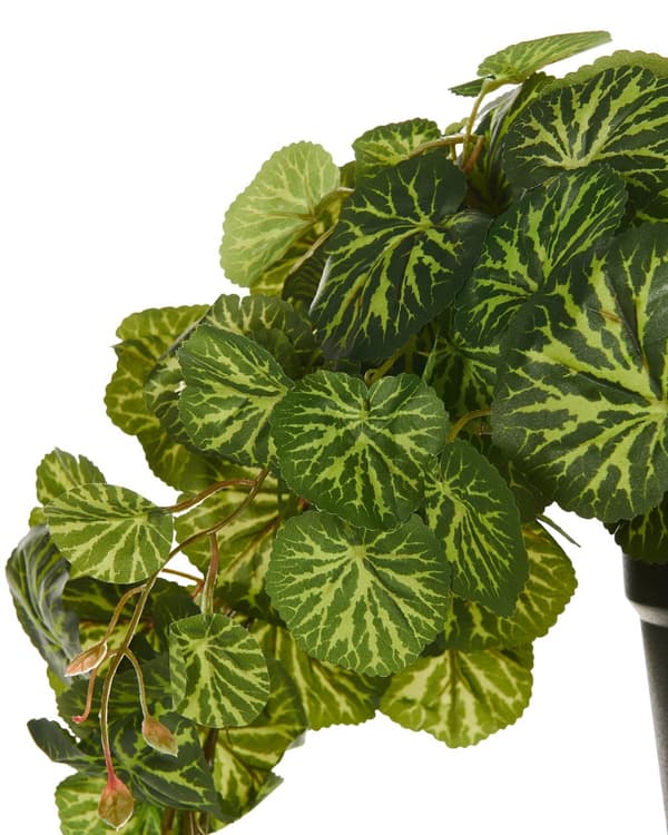 Kunstig Potteplante Hengeplante Grønn og Svart Syntetisk 37 cm Materiale Dekorativt Innendørs Tilbehør