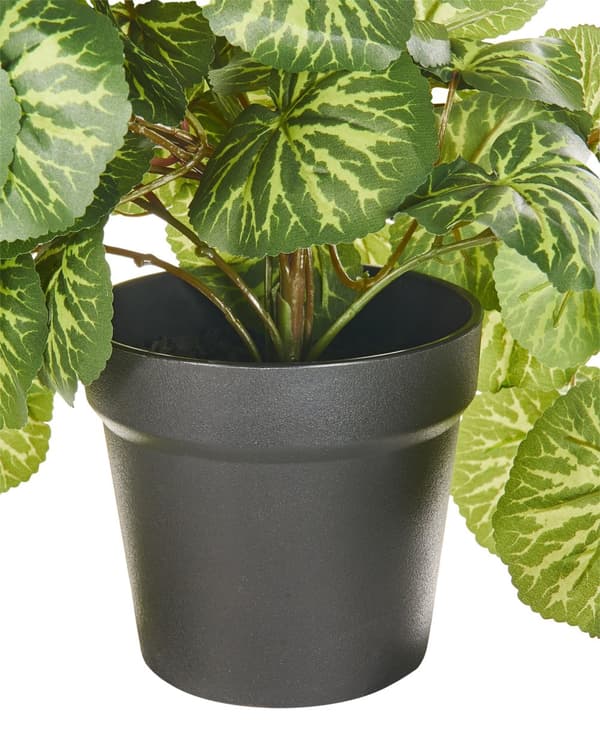 Kunstig Potteplante Hengeplante Grønn og Svart Syntetisk 37 cm Materiale Dekorativt Innendørs Tilbehør