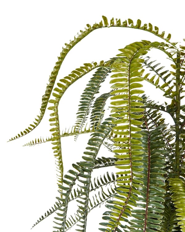 Kunstig potteplante Grøn Sort Syntetisk materiale 105 cm Bregneplante Dekoration Interiør