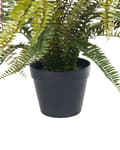 Miniatyrbillede 5 af 5: Kunstig potteplante Grøn Sort Syntetisk materiale 105 cm Bregneplante Dekoration Interiør