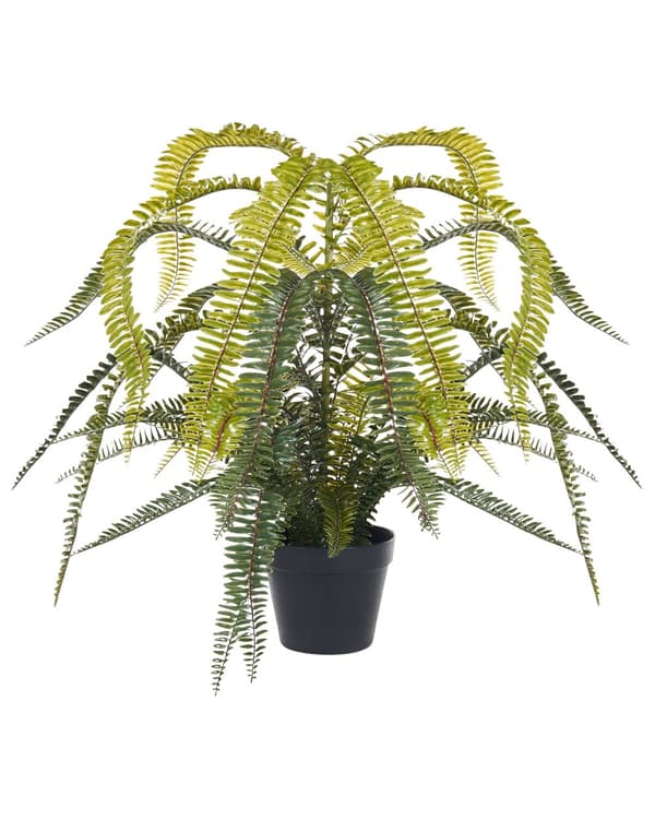 Kunstig potteplante Grøn Sort Syntetisk materiale 105 cm Bregneplante Dekoration Interiør