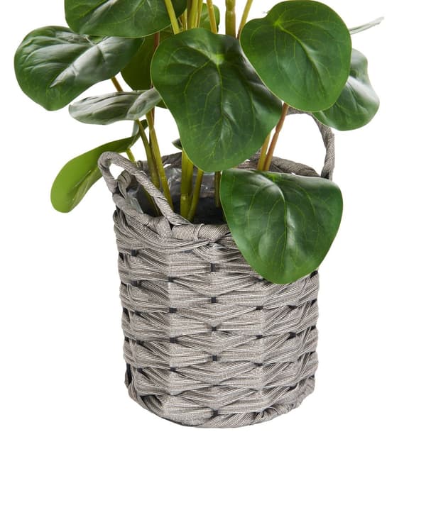 Kunstig potteplante i grønt og sort syntetisk materiale 55 cm Pilea Pancake Plant Dekorativt indendørs tilbehør