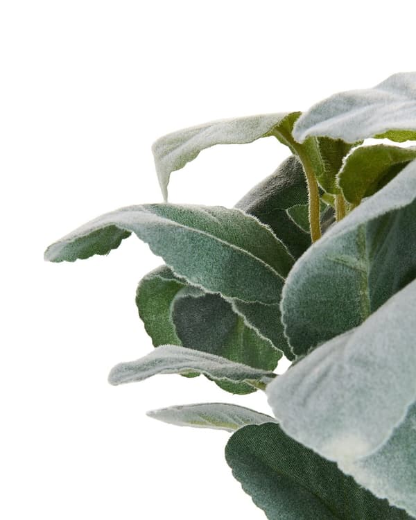 Kunstig potteplante Grønt syntetisk materiale 30 cm Lammeøreplante Dekorativt indendørstilbehør