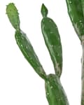 Miniatyrbilde 4 av 5: Kunstig Opuntia Kaktusplante i Potte Grønt Syntetisk Materiale 150 cm Svart Potte Dekorasjon Hjemmetilbehør
