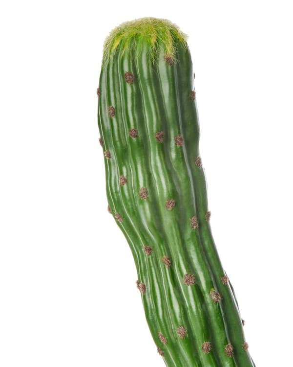 Kunstig potteplante kaktus grøn syntetisk materiale 115 cm sort potte dekoration hjemmetilbehør