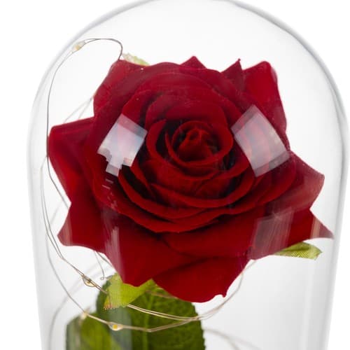 Eternal Rose - Rød rose i glasskopp med belysning og gaveeske