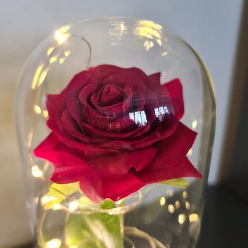 Eternal Rose - Rød rose i glasskopp med belysning og gaveeske