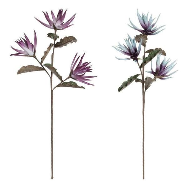 Konstgjord blomma-växt - torkad blomma Heminredning Dkd Set med 2 Dekorativa blommor Blå Eva (Ethylene-ceetate) Lila