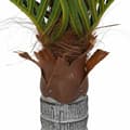 Miniatyrbillede 4 af 5: vidaXL kunstig palme 12 blade 150 cm grøn