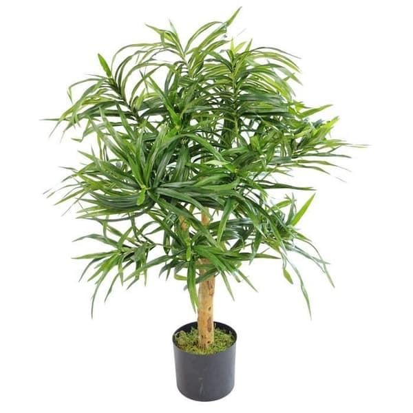 Leaf Leaf Artificiell Träd Dracaena 100 cm - LEAF-7167