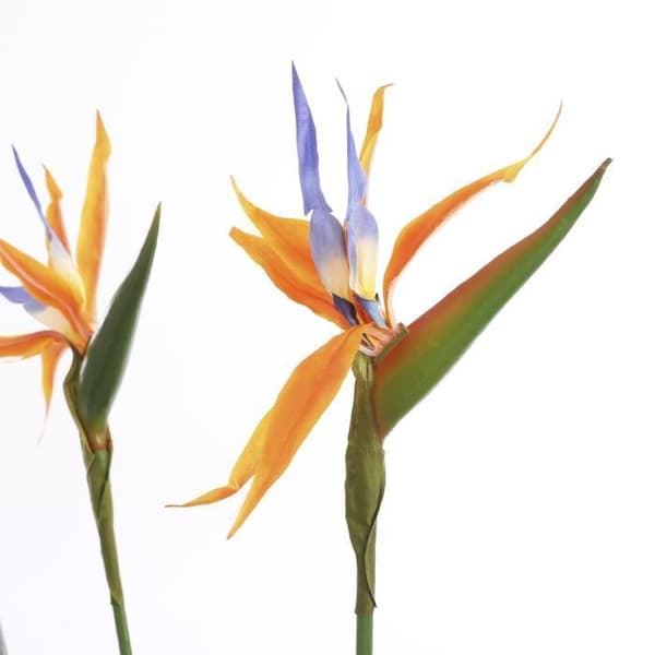 Glimmerdekorationer Strelitzia Konstgjorda växter - H110 x Ø75 cm
