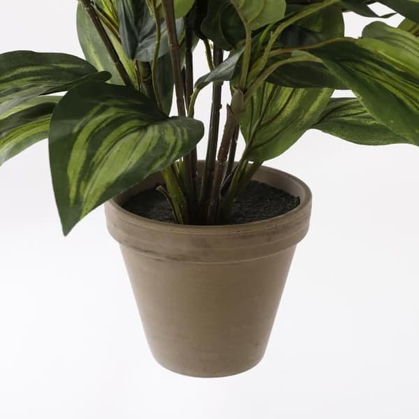 Mica Decorations Hosta Konstgjord växt - H65 x Ø40 cm - Grön