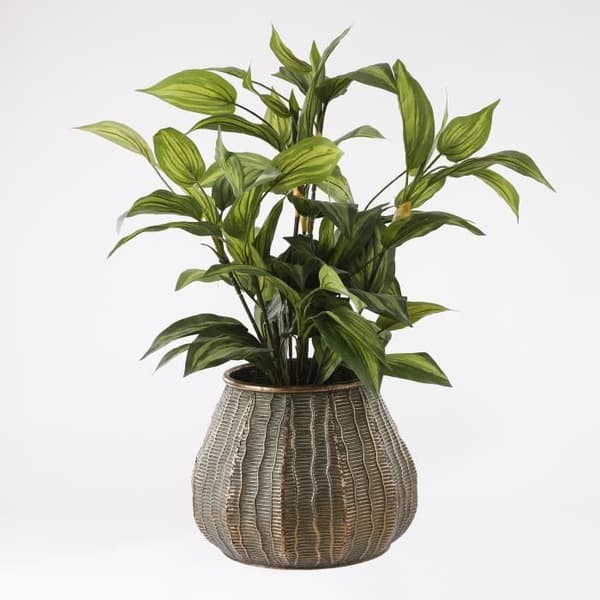 Mica Decorations Hosta Konstgjord växt - H65 x Ø40 cm - Grön