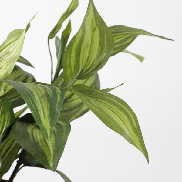 Mica Decorations Hosta Konstgjord växt - H65 x Ø40 cm - Grön