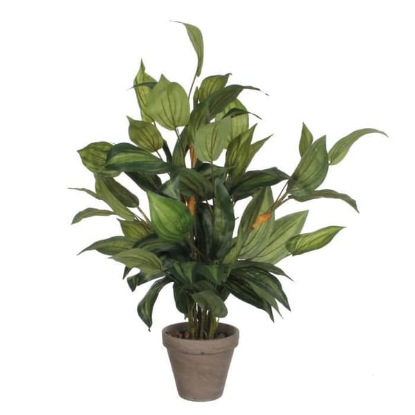 Mica Decorations Hosta Konstgjord växt - H65 x Ø40 cm - Grön