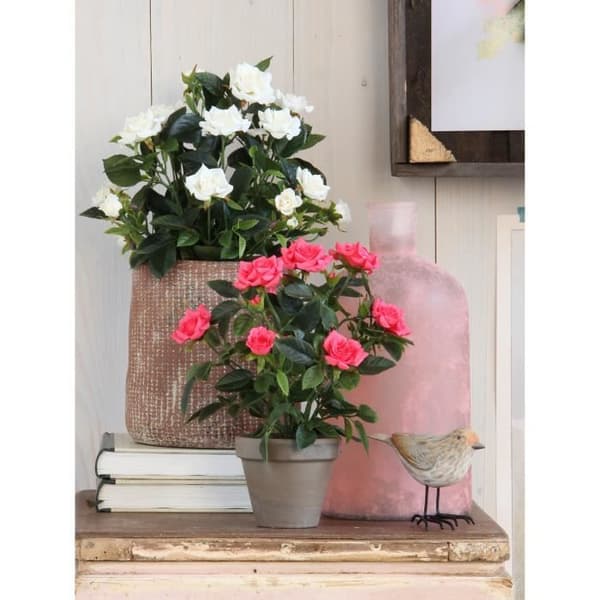 Glimmerdekorationer Rose Bush konstgjorda växter i blomkruka - H33 x Ø25 cm - Vit