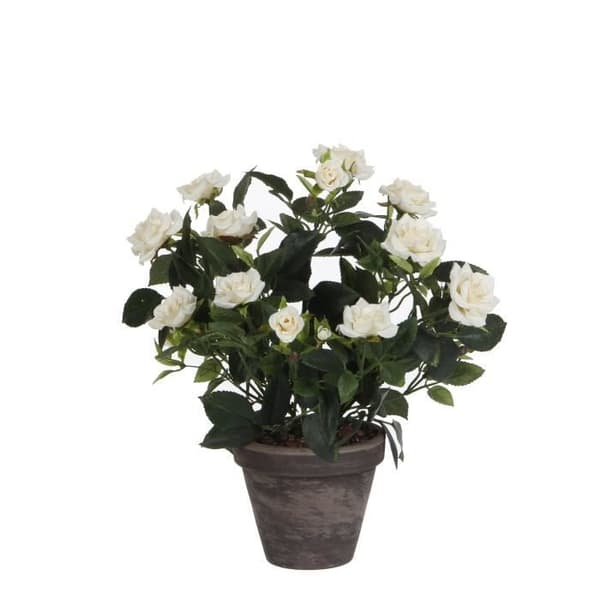 Glimmerdekorationer Rose Bush konstgjorda växter i blomkruka - H33 x Ø25 cm - Vit