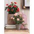 Miniatyrbild 4 av 4: Glimmerdekorationer Rose konstgjorda växter i blomkruka - H33 x Ã˜25 cm - Röd