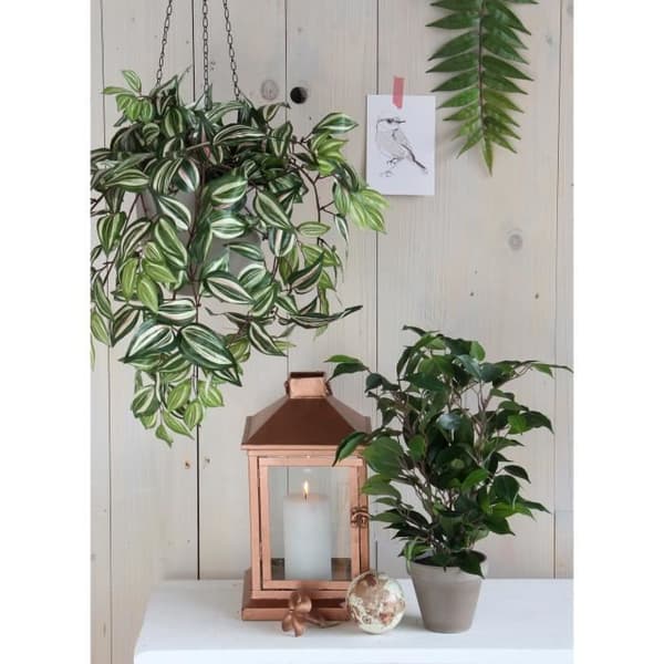 Blomma Konstgjord Växt Ficus Natasja H40 cm - Glimmerdekorationer