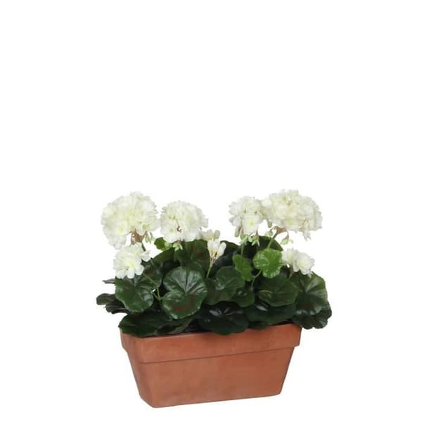 Konstgjord pelargonplanta i planteringskärl - L29 x B13 x H40 cm - Vit - Glimmerdekorationer
