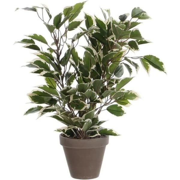 Ficus Natasja Konstgjord växt i Stan blomkruka - H40 x Ø30 cm - Grön Svart - Glimmerdekorationer