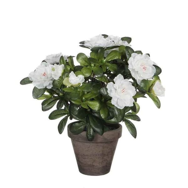 Kunstgjord växt - MICA DECORATIONS - Vit azalea - Polyester - 27 cm - Inomhus