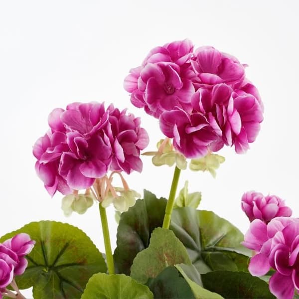 Konstgjord pelargonplanta i cementkruka - H34 x Ø20 cm - Lila - Glimmerdekorationer