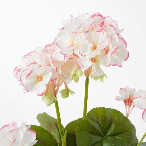 Konstgjord pelargonplanta i cementkruka - H34 x Ø20 cm - Vit, rosa - Glimmerdekorationer