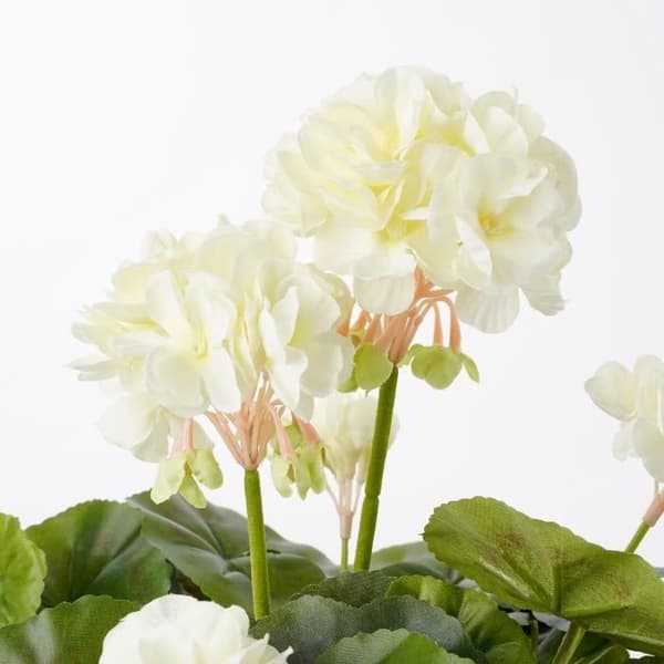 Konstgjord pelargonplanta i cementkruka - H34 x Ø20 cm - Kräm - Glimmerdekorationer