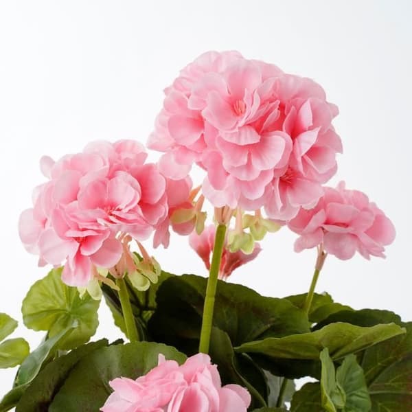 Konstgjord pelargonplanta i cementkruka - H34 x Ø20 cm - Rosa - Glimmerdekorationer