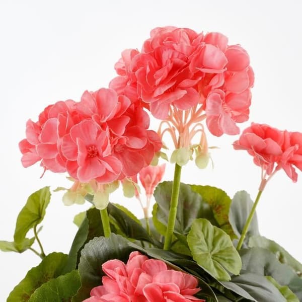 Konstgjord pelargonplanta i cementkruka - H34 x Ø20 cm - Laxrosa - Glimmerdekorationer