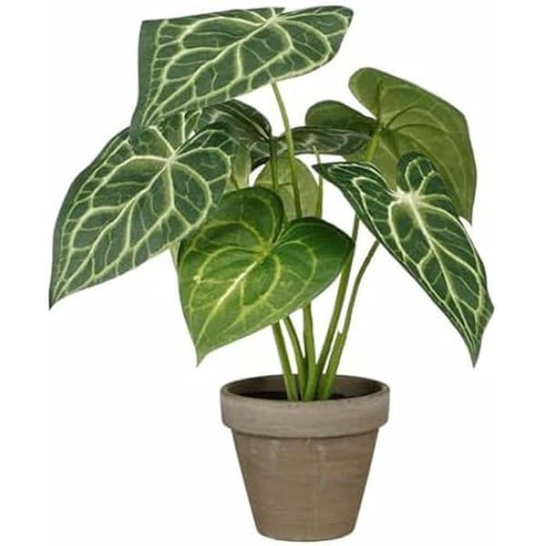 Dekorativ växt - MICA DECORATIONS - Caladium - Ø 21 cm - Höjd 28 cm - Konstgjord