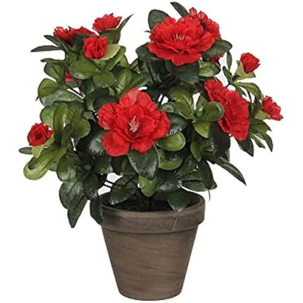 Dekorativ växt - MICA DECORATIONS - Azalea - 10,5 x 21,5 x 15 cm - Konstgjord växt - Inomhus