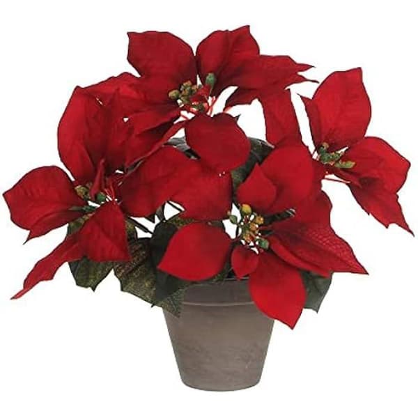 Blomkruka - MICA DECORATIONS - Röd - Ø 11,5 cm - Höjd 27 cm - Lätt att underhålla