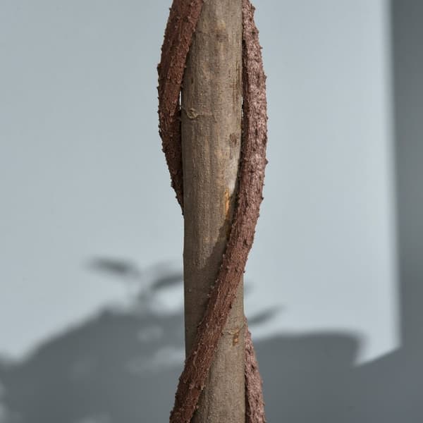Rootz Sæt med 2 kunstige laurbærtræ - faux træer - Indendørs udendørs grøn - ingen vedligeholdelse nødvendig - 120 cm x 16 cm