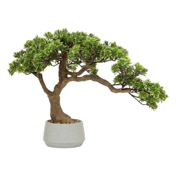 Bonsai i kruka "Polin" grön keramik kruka H45cm - Atmosphera inredningsdesigner - Grön