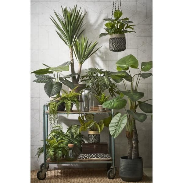 Glimmerdekorationer Yucca Konstgjorda växter - H120 x Ã˜70 cm