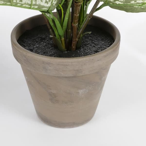 Glimmerdekorationer Dieffenbachia Konstgjord växt - H70 x Ø55 cm - Grön