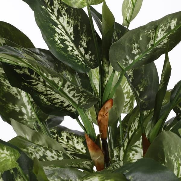 Glimmerdekorationer Dieffenbachia Konstgjord växt - H70 x Ø55 cm - Grön