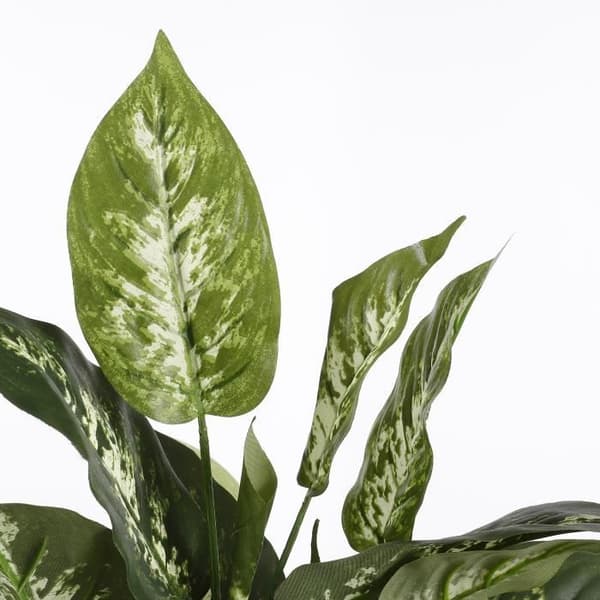 Glimmerdekorationer Dieffenbachia Konstgjord växt - H70 x Ø55 cm - Grön