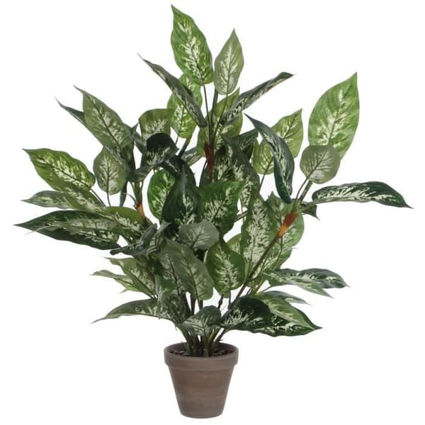 Glimmerdekorationer Dieffenbachia Konstgjord växt - H70 x Ø55 cm - Grön