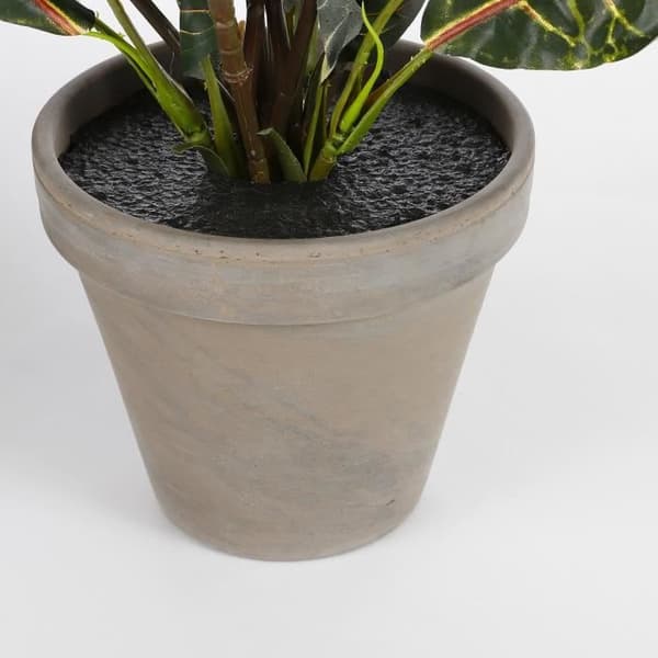 Glimmerdekorationer Croton Konstgjord växt - H73 x Ø40 cm - Färgglad
