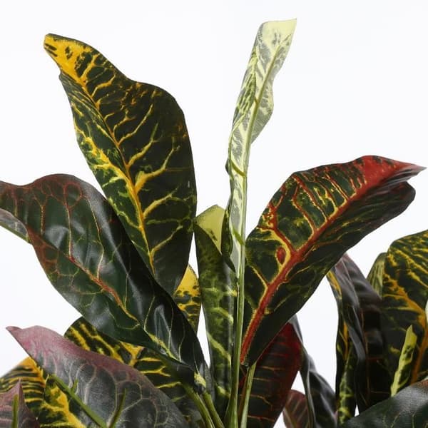 Glimmerdekorationer Croton Konstgjord växt - H73 x Ø40 cm - Färgglad
